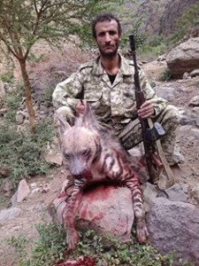 11951778_447103882164270_3733023220218324564_n