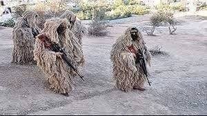 11954644_447103785497613_6146639558361193724_n