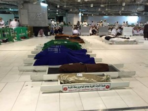 12016432_903675516378490_1866330220_n