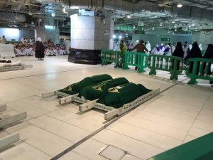 12025547_903675523045156_2054044949_n