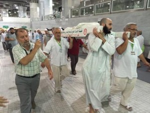 12030862_903675559711819_1459301276_n