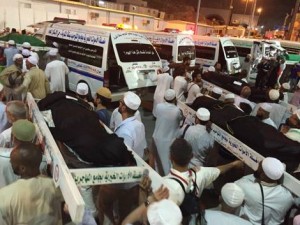 12033537_903675563045152_2129736050_n