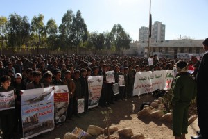 IMG_3424 [الحجم الأصلي]