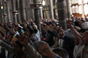 مصنع الصيغIMG_3098