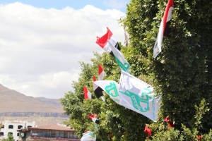 12801357_897864733665658_4294329125537253793_n