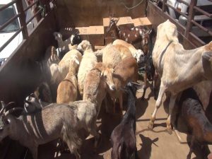 %d8%a7%d9%84%d9%82%d8%a7%d9%81%d9%84%d8%a92