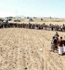 إنها قضية قتل تقدمها وكيل أول محافظة ذمار بمديرية عنس.