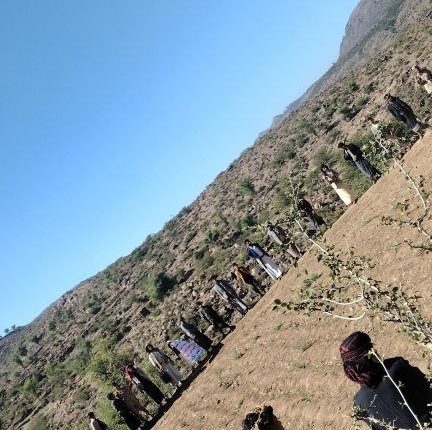 photo_1_2025-12-10_21-28-31