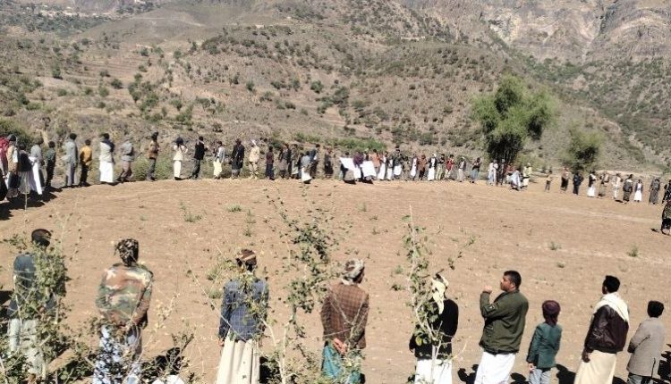 photo_2_2025-12-10_21-28-31