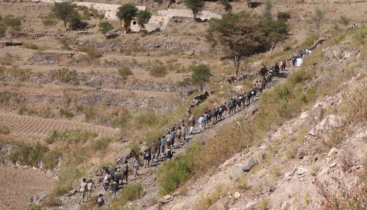 photo_2_2025-12-15_20-37-59