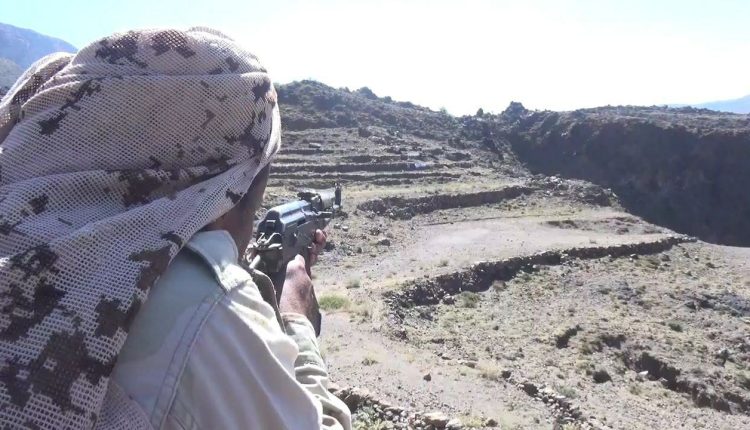 photo_3_2025-12-29_23-50-04