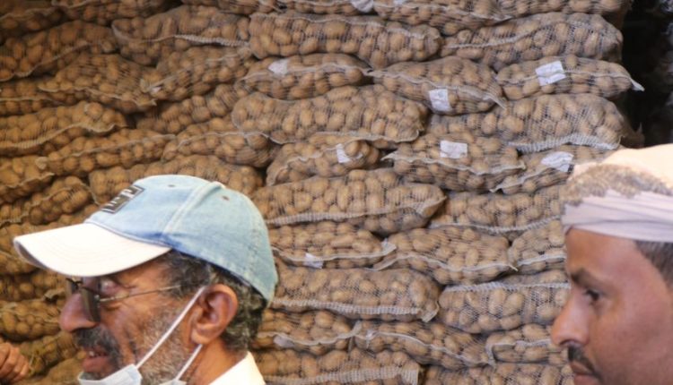 photo_10_2026-01-21_21-07-24