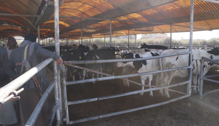 photo_12_2026-01-21_21-07-24