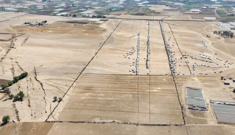 photo_16_2026-01-05_20-45-59