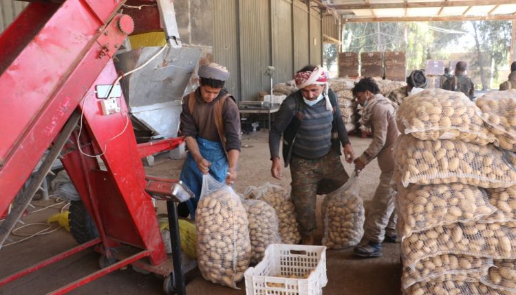 photo_16_2026-01-21_21-07-24