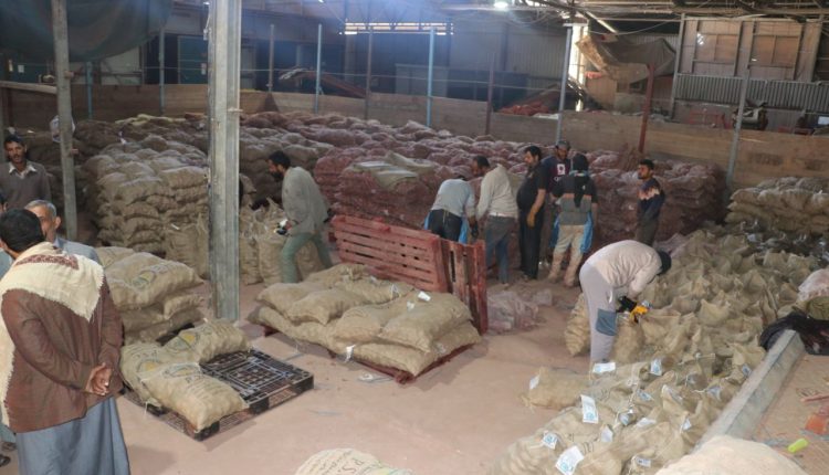 photo_19_2026-01-21_21-07-24