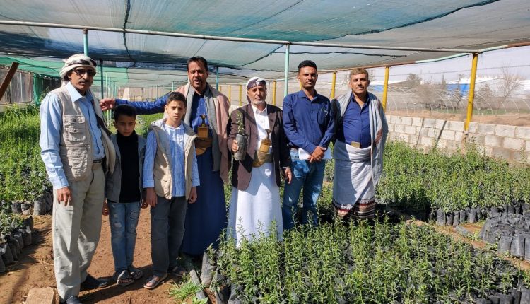 photo_1_2026-01-29_22-10-48