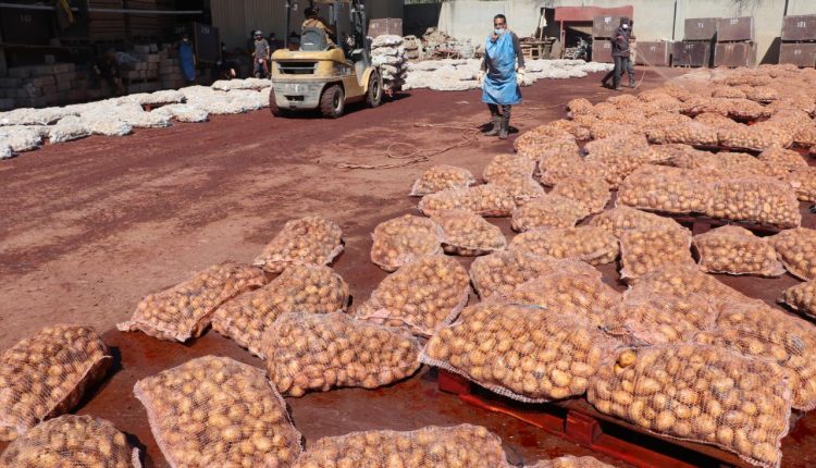 photo_23_2026-01-21_21-07-24