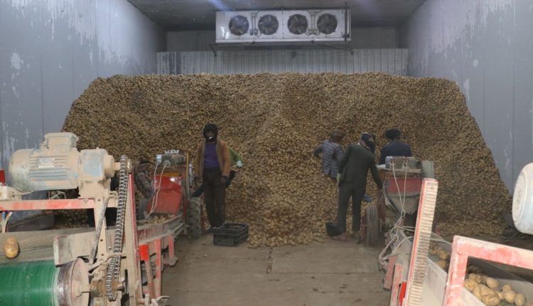 photo_24_2026-01-21_21-07-24