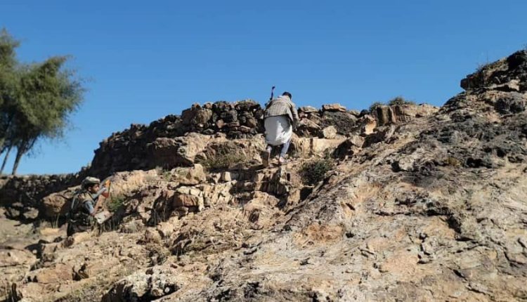 photo_2_2026-01-11_19-49-07