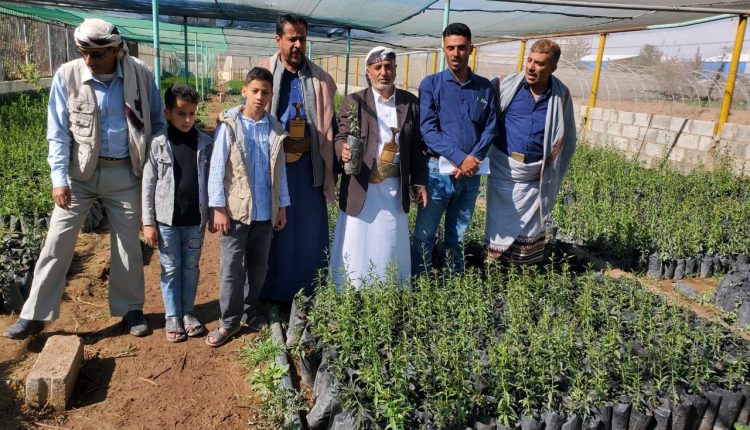 photo_3_2026-01-29_22-10-48