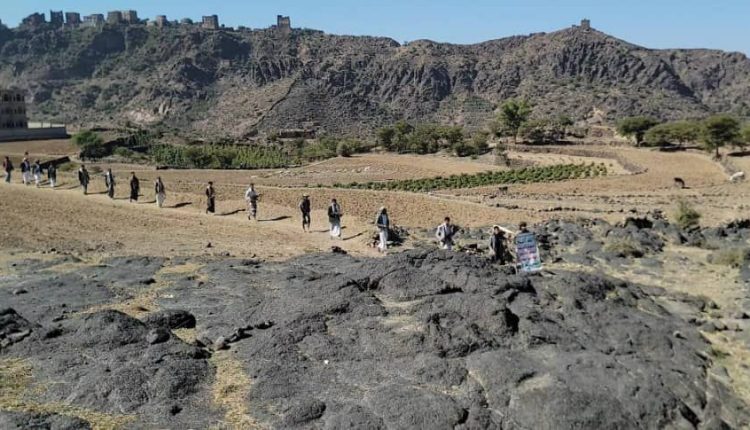 photo_4_2026-01-11_19-49-07