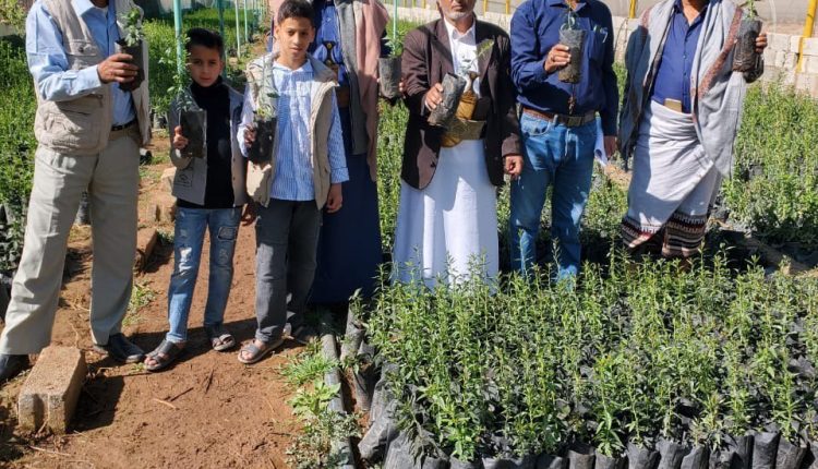 photo_4_2026-01-29_22-10-48