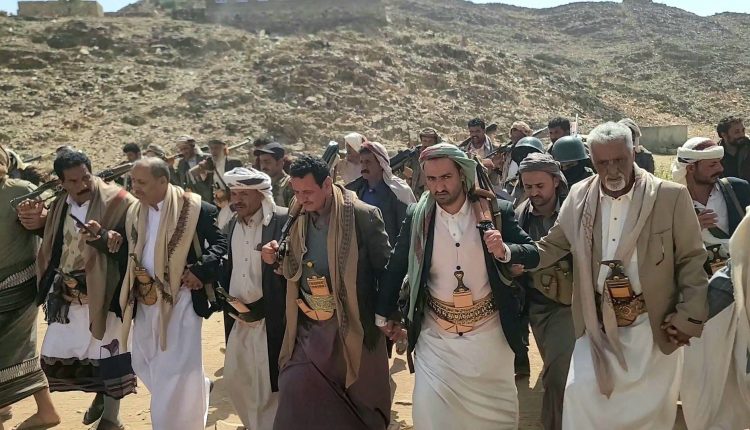 photo_4_2026-01-31_21-06-59