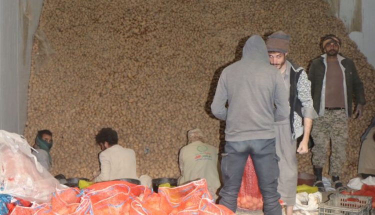 photo_6_2026-01-21_21-07-24