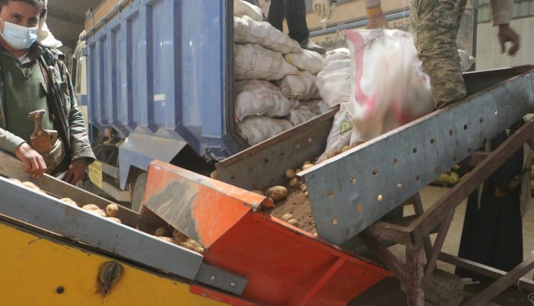 photo_8_2026-01-21_21-07-24