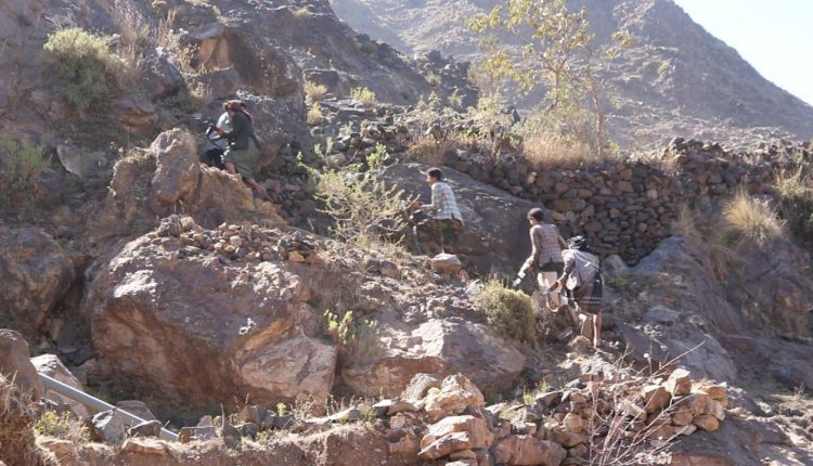 photo_1_2026-02-04_20-20-43