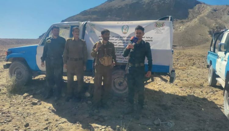 photo_1_2026-02-09_21-06-01