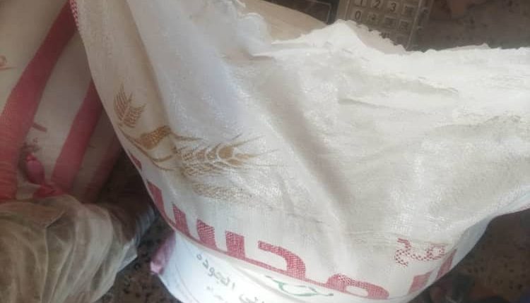 photo_2_2026-02-11_21-28-11