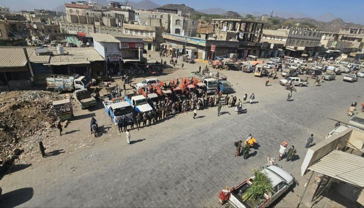 photo_2_2026-02-12_20-38-16