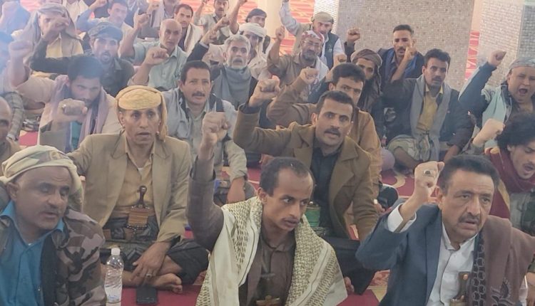 photo_2_2026-02-12_20-43-02