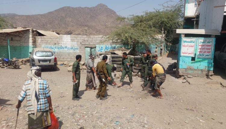 photo_2_2026-02-14_20-35-00