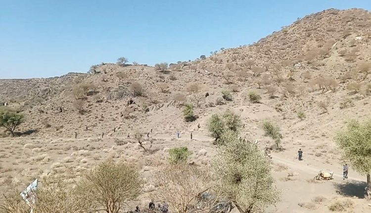 photo_3_2026-02-09_21-10-01