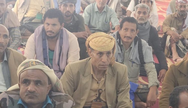 photo_3_2026-02-12_20-43-02