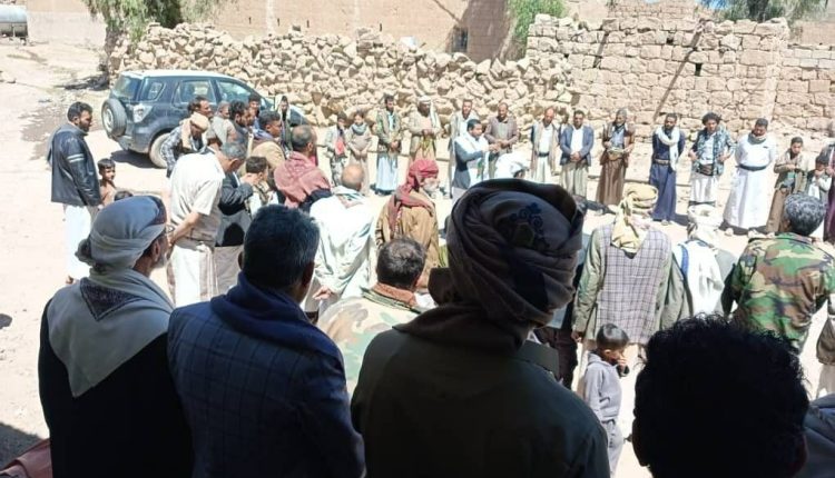 photo_3_2026-02-20_22-56-39