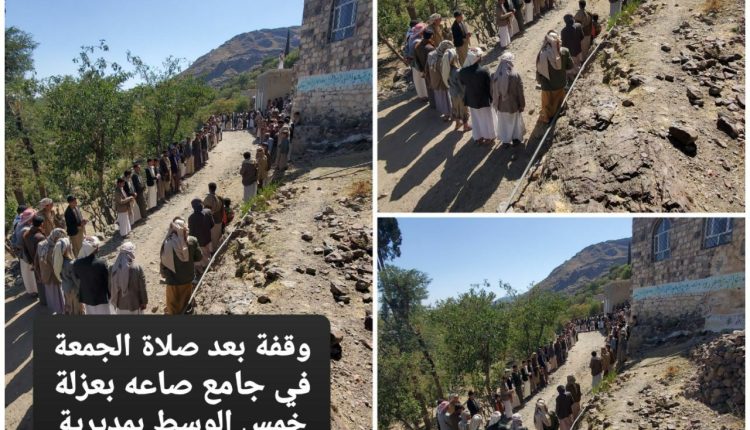 photo_3_2026-02-28_00-07-11