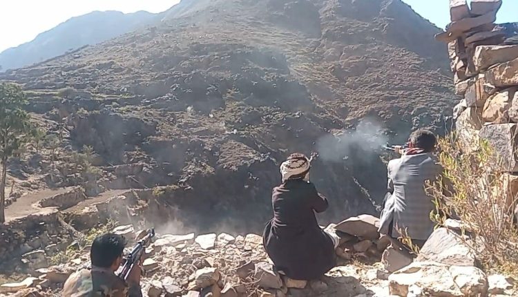 photo_4_2026-02-04_20-20-43