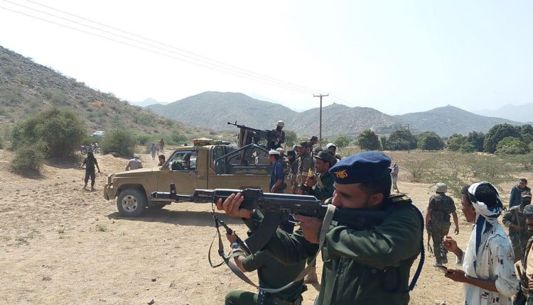 photo_4_2026-02-11_21-33-14