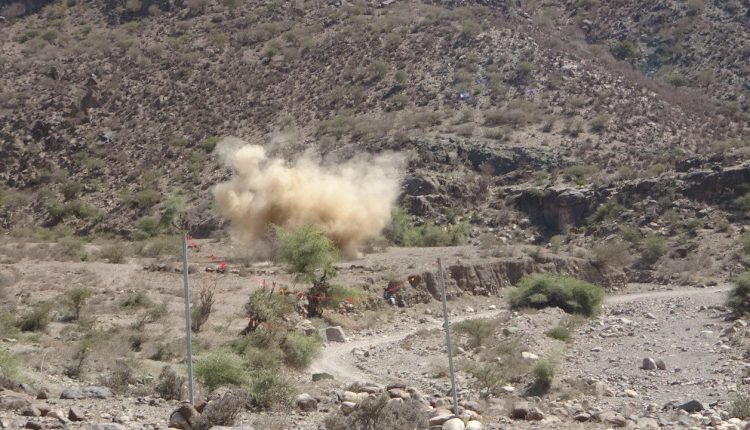 photo_4_2026-02-12_22-28-05