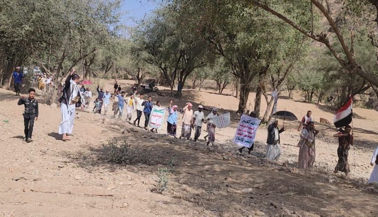 photo_4_2026-02-15_21-21-34