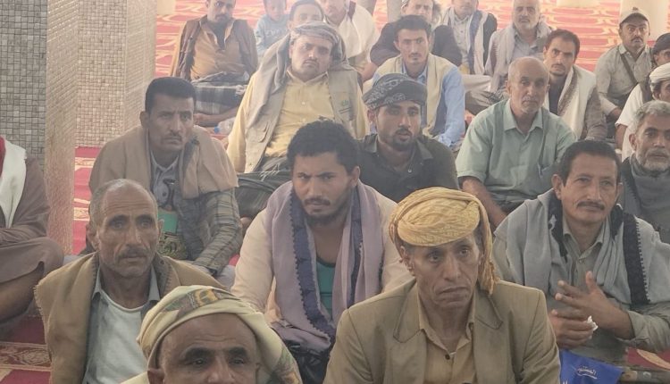 photo_5_2026-02-12_20-43-02