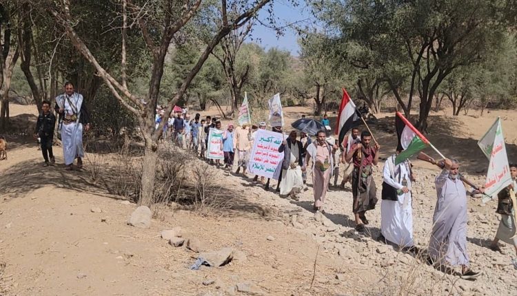photo_6_2026-02-15_21-21-34