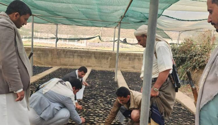 photo_2_2026-03-11_23-51-24