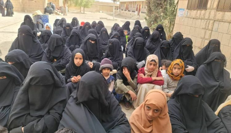 photo_3_2026-03-11_00-25-05