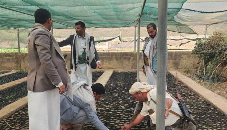 photo_3_2026-03-11_23-51-24