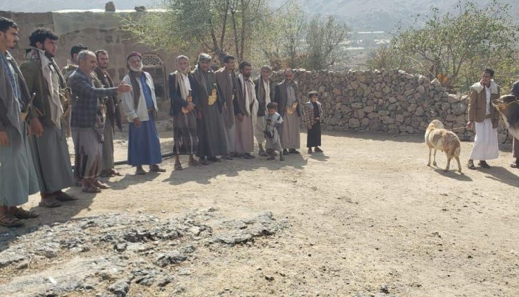 photo_3_2026-03-16_22-48-08